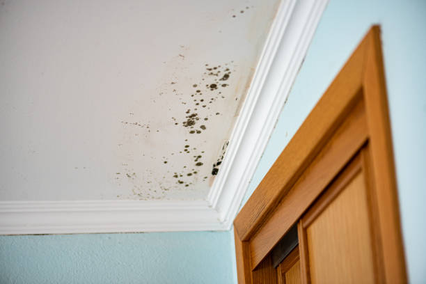 Water Damage Restoration in Monona, WI