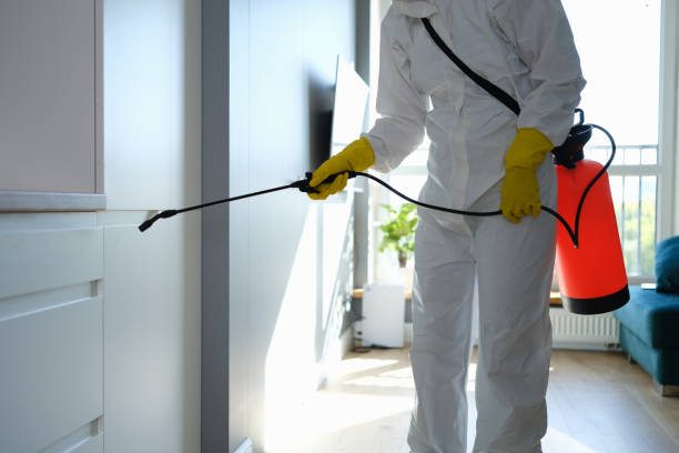 Best Emergency Mold Removal  in Monona, WI