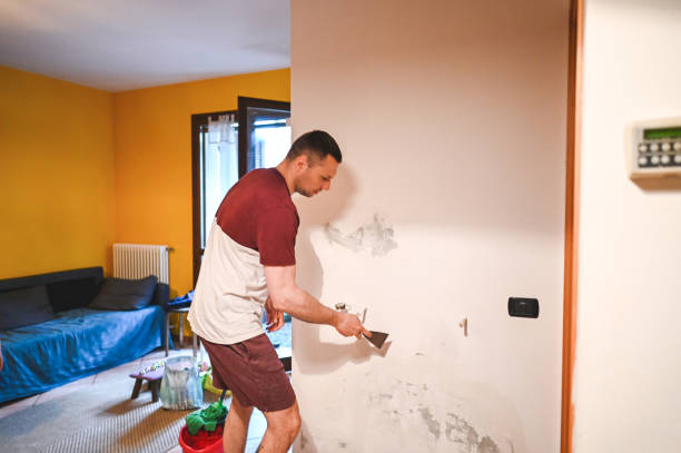 Best Professional Mold Removal  in Monona, WI