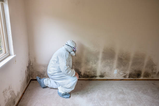 Best Mold Testing  in Monona, WI